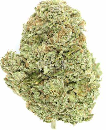 Legacy Kush