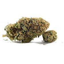 Master Kush