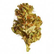 Palm Tree Cbd