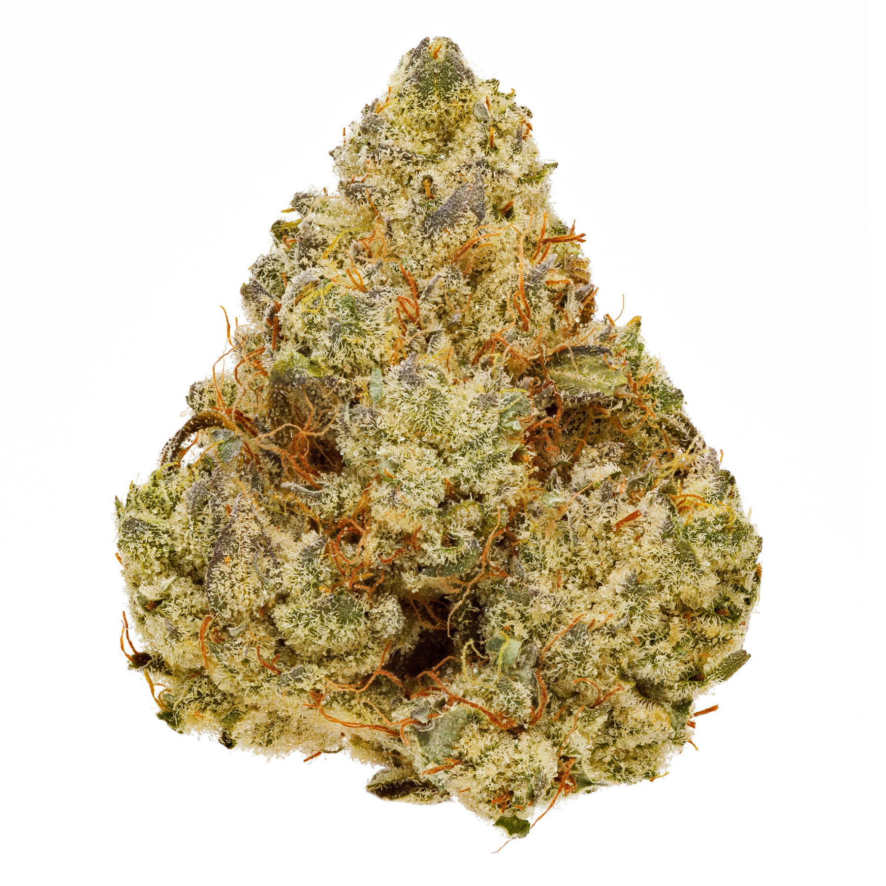 Bc White Grape Og