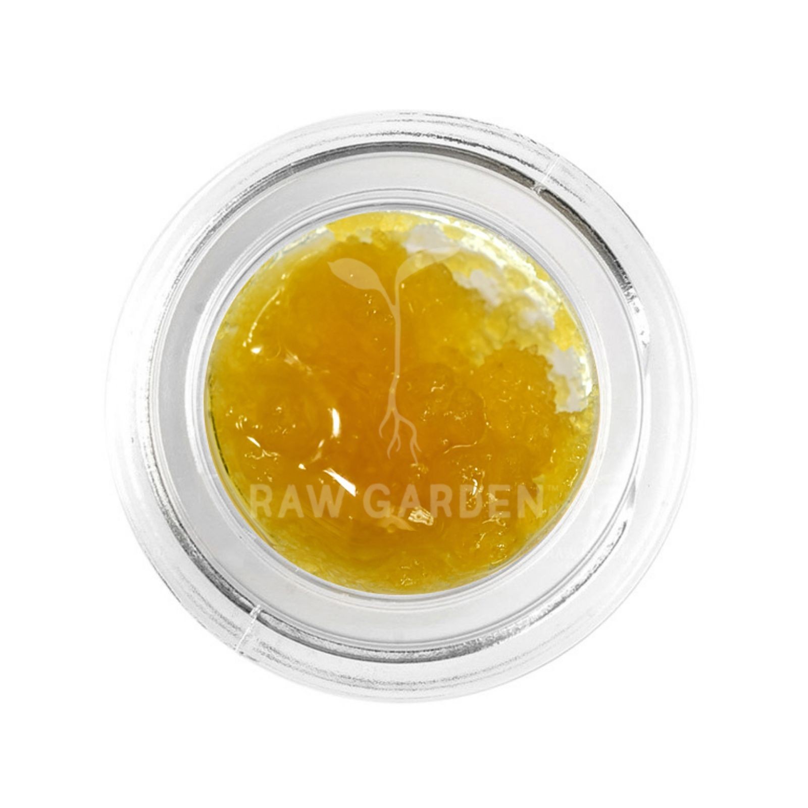 Original Glue (Gg4) Live Resin