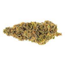Garlic Breath