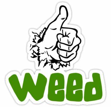 Craft Snowbud Afghan Kush
