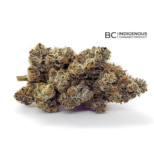 Gelato 33