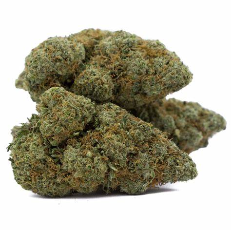 Super Lemon Haze