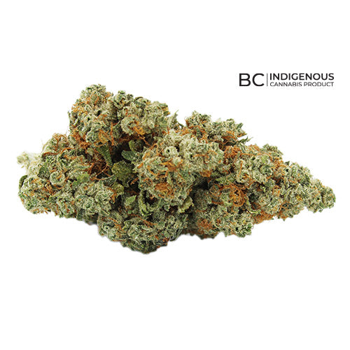 King Kush