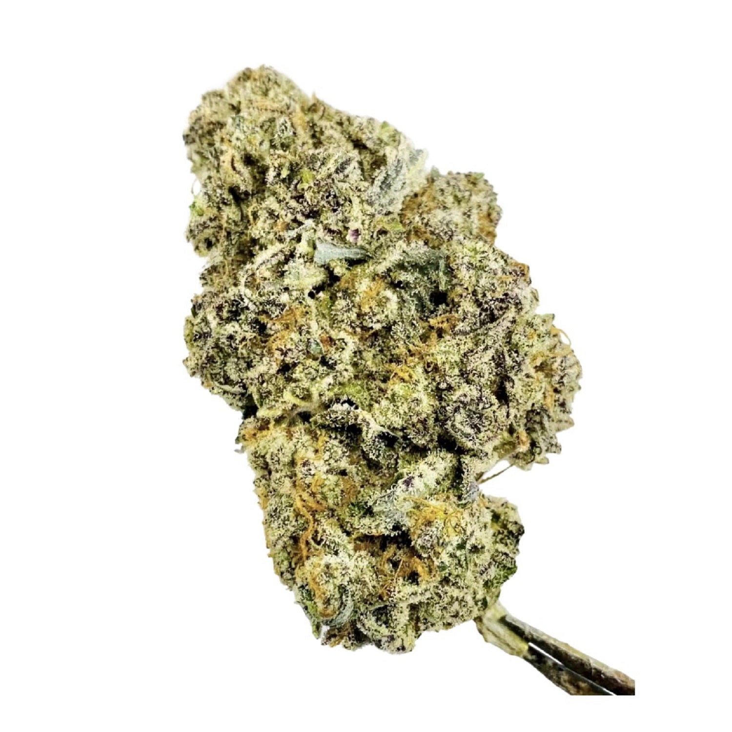 Sunset Sherbet