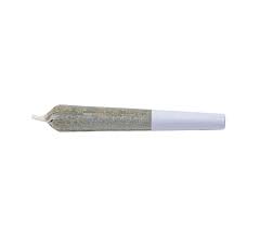 K.Tut Pre-Roll