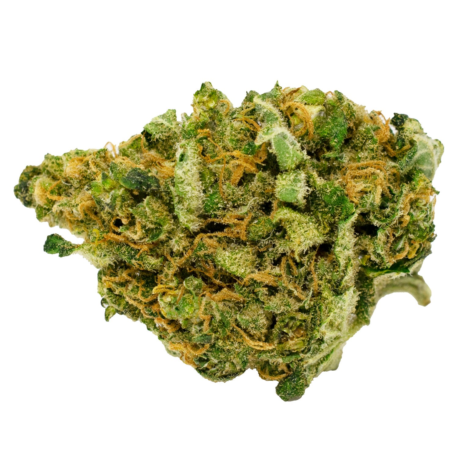 Black Magic Premium Sativa