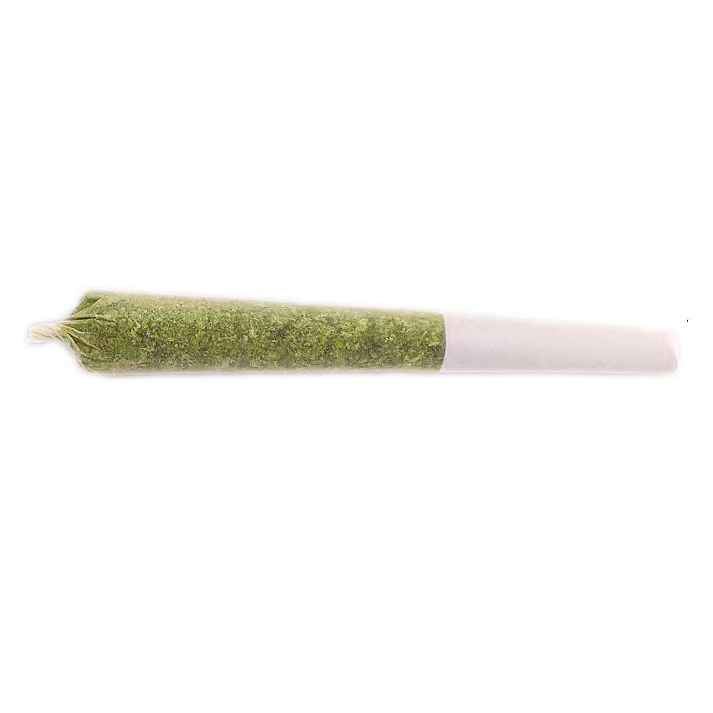 Nova Glue Pre-Rolls