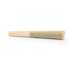 Rascal Og Pre-Roll