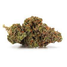 Sour Kush