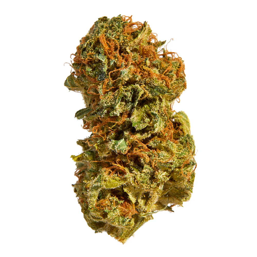 Northern Lights