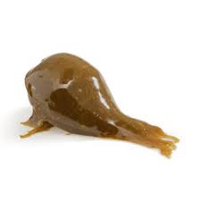 Sapphire Og Flower Rosin