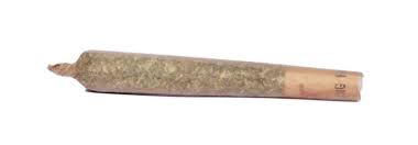The Ultimate Pre-Roll
