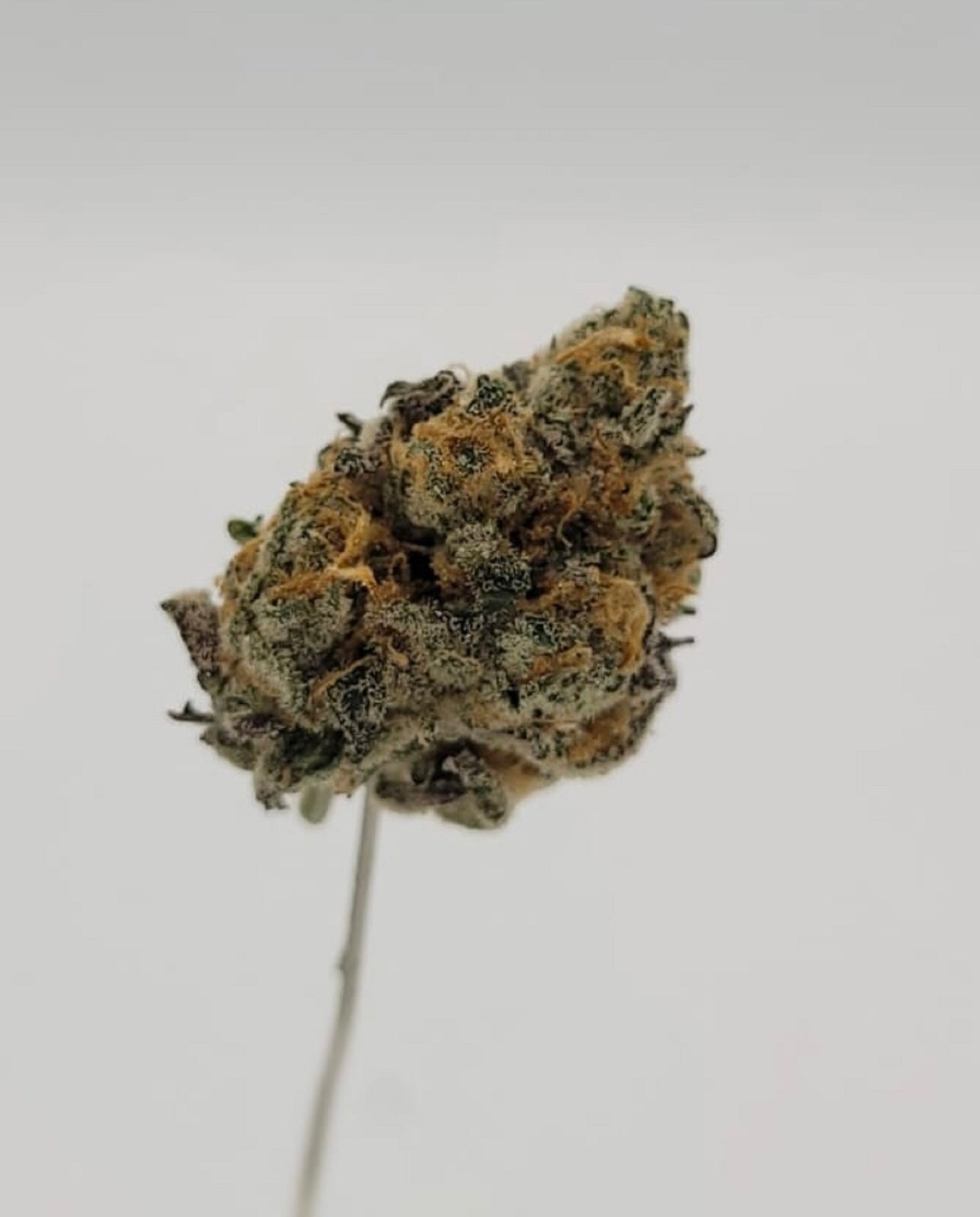 Peanut Butter Breath