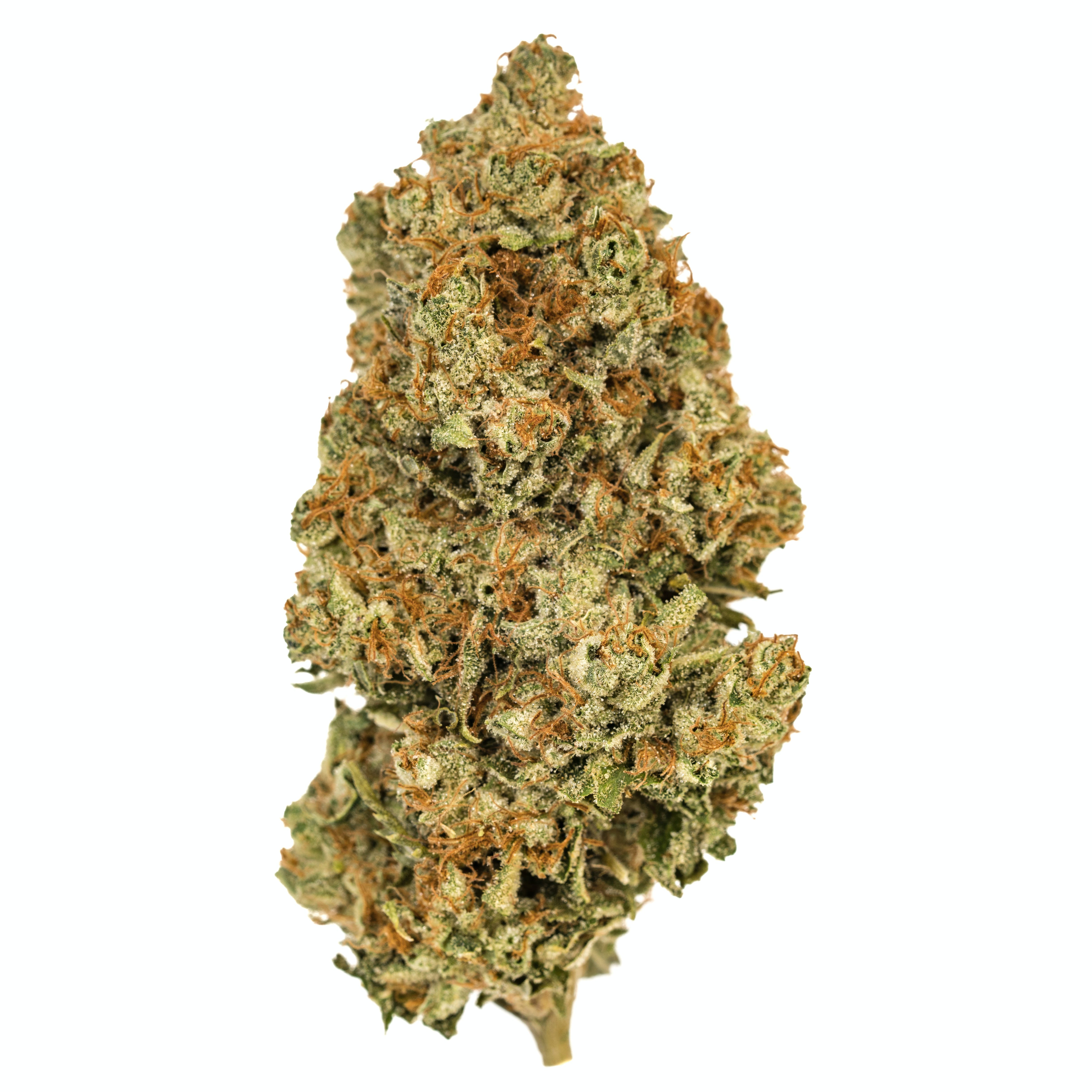 Bruce Banner