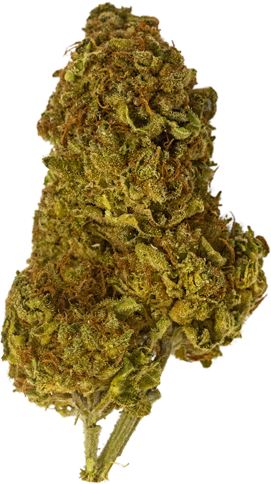 Sweet Venom