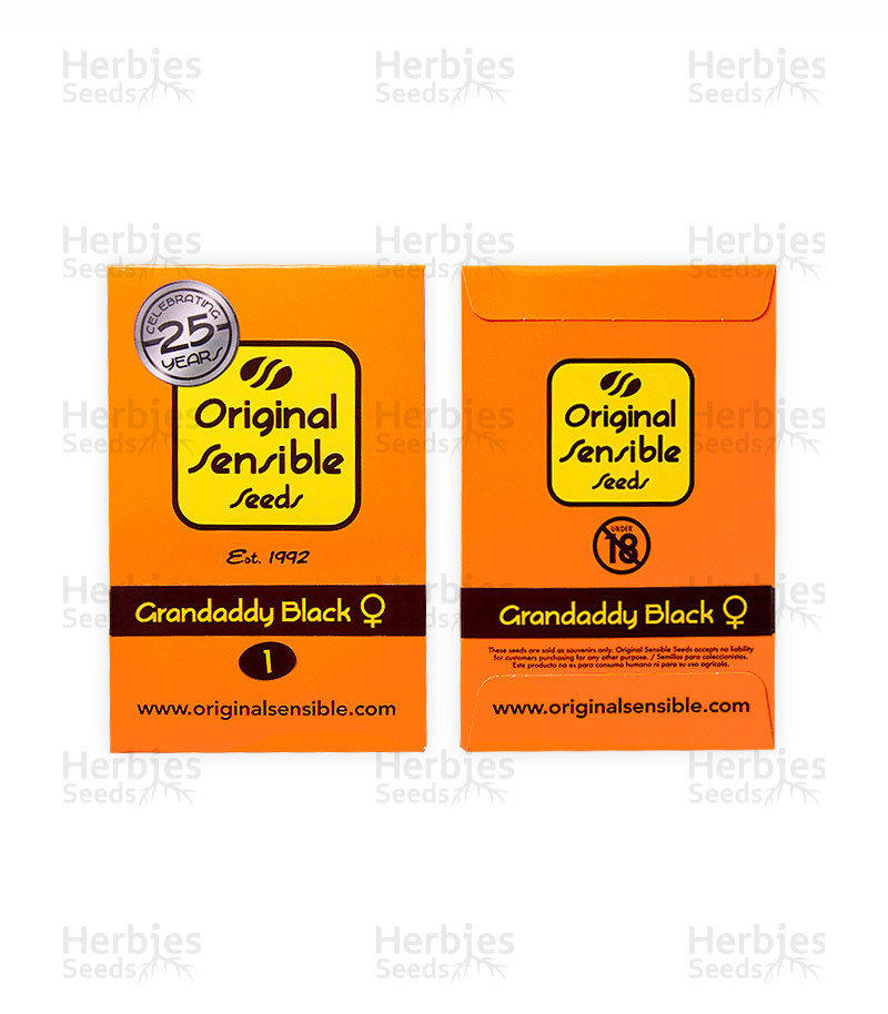 Grandaddy Black
