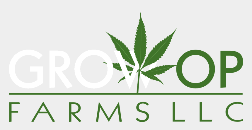 Carmagnola Cbd Hemp Flower