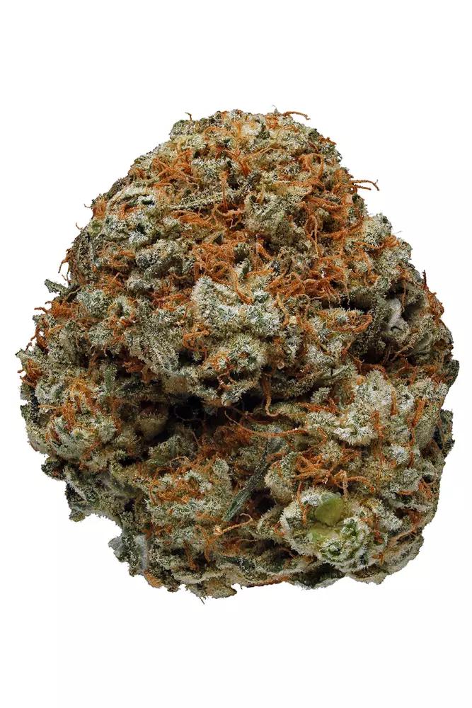 Original Glue