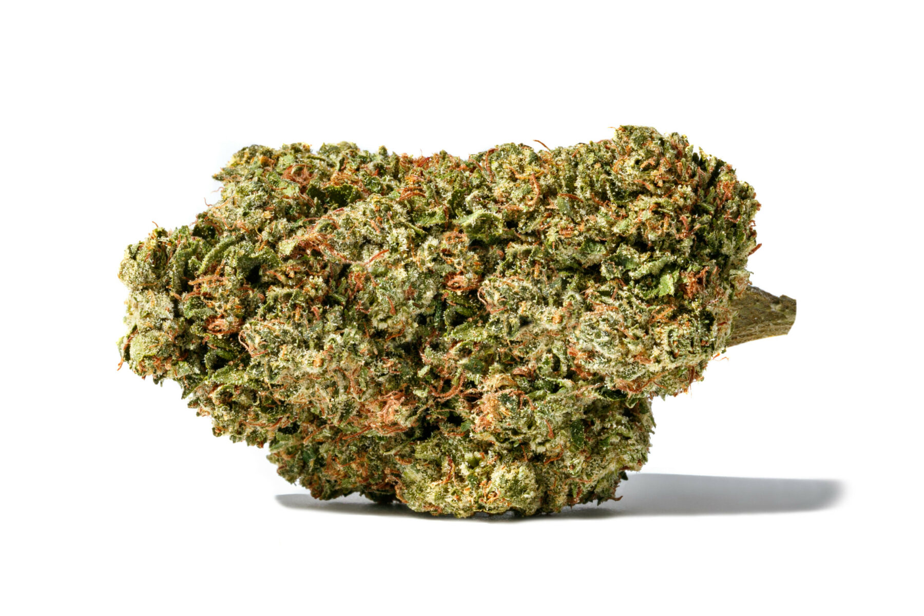 Bc Sour Kush