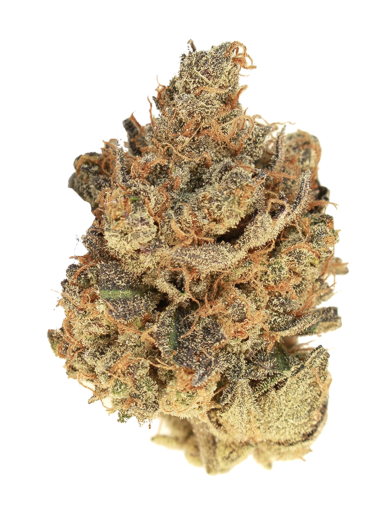 Pink Bubba