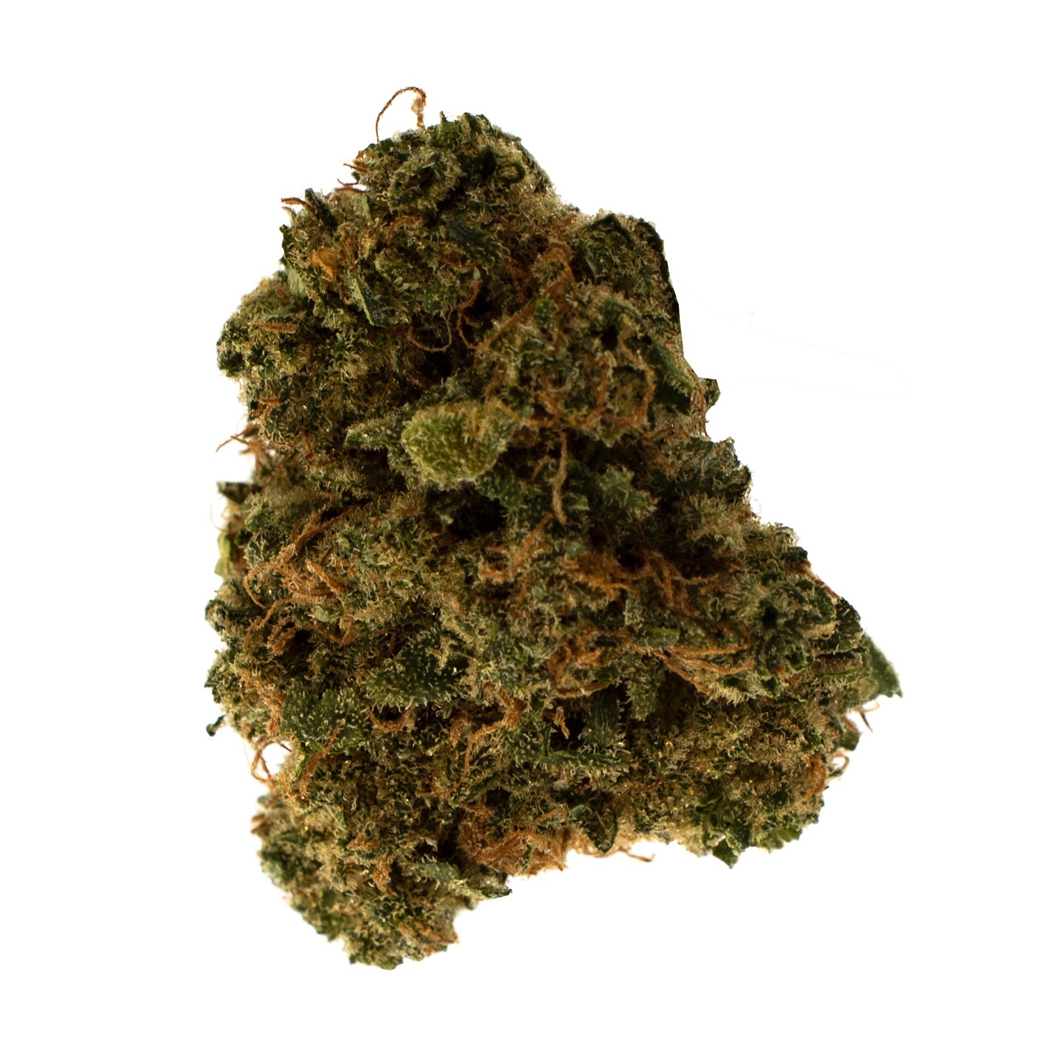 Os. Kush