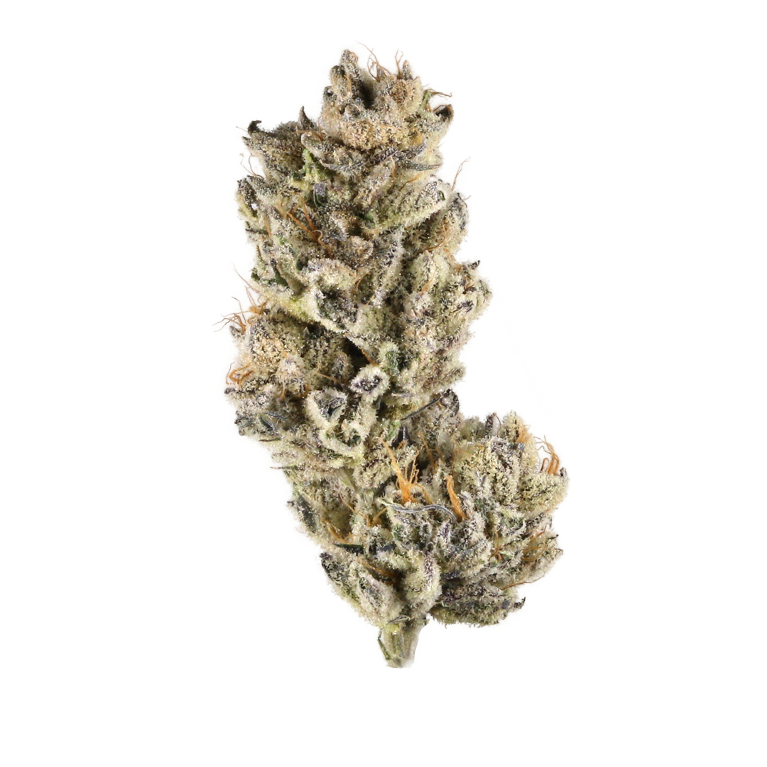 Purple Punch 2.0