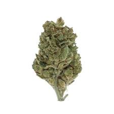 Afghani Cbd