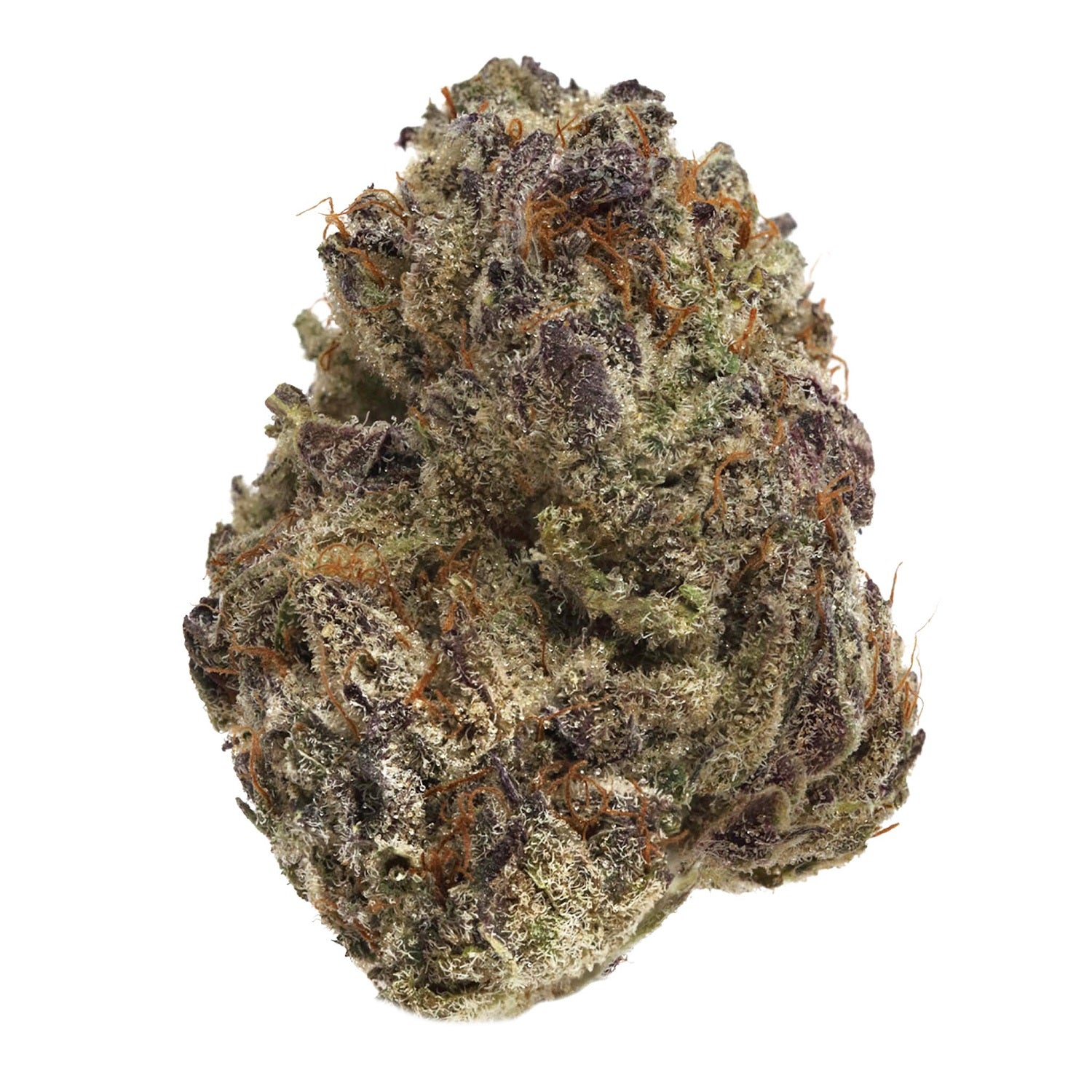 Gsc