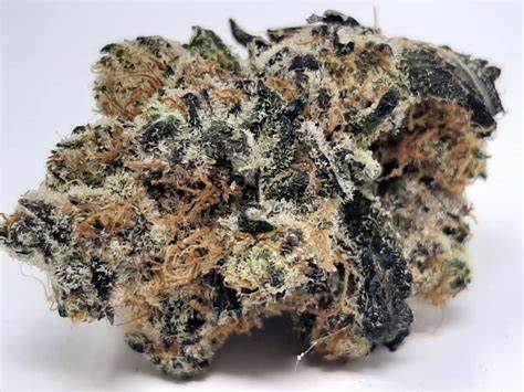 Cactus Breath (Kootenay Cut)