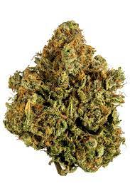 White Widow