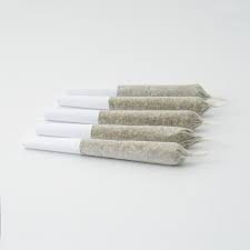 Agent Orange Pre-Roll