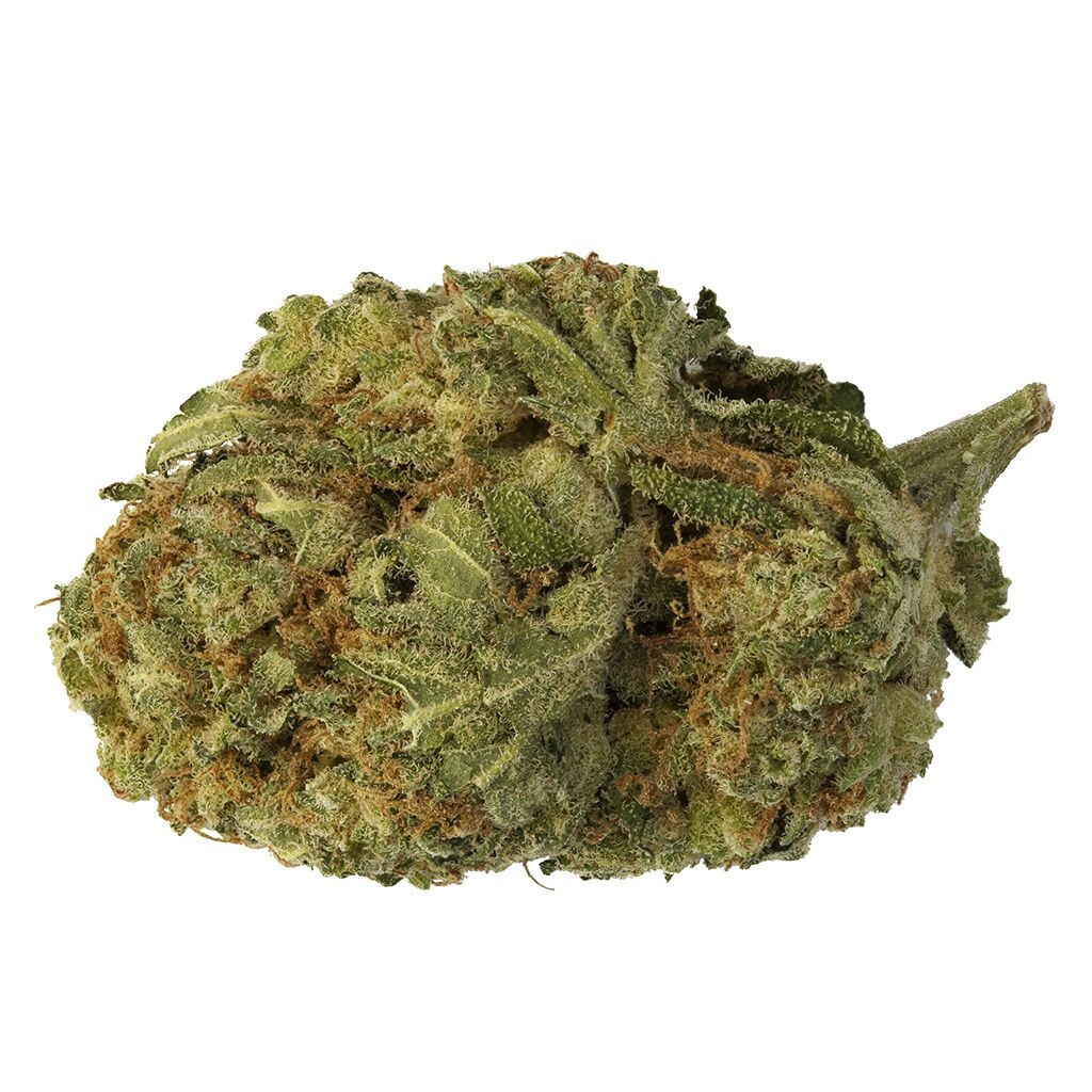 Paris Og