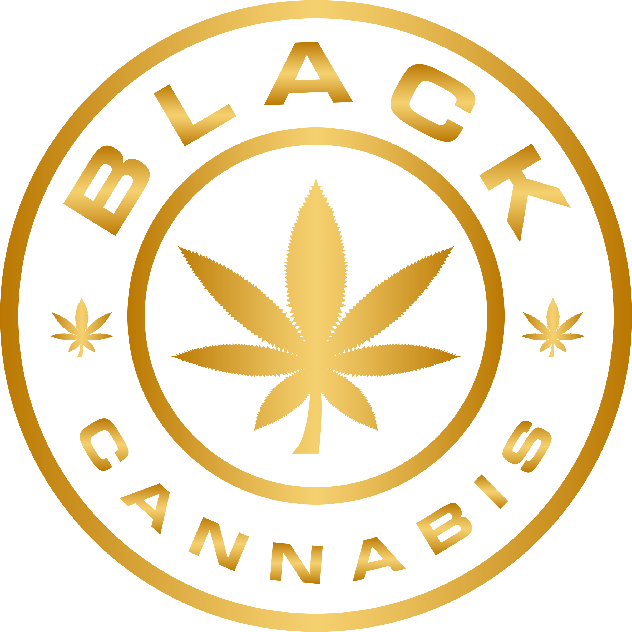 Black Kettle Farm Rainbow Drvr Pre-Rolls